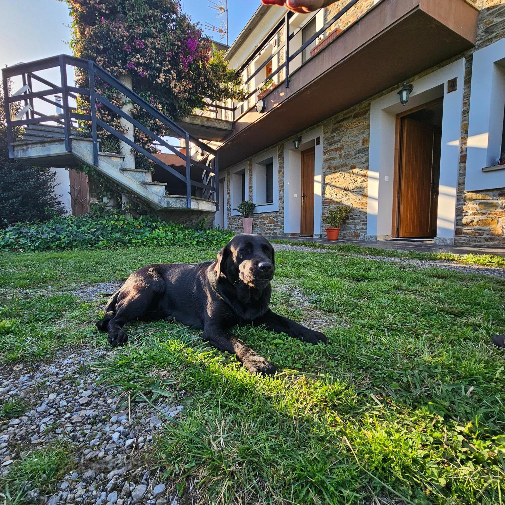 Apartamentos Castello Cartavio Kültér fotó